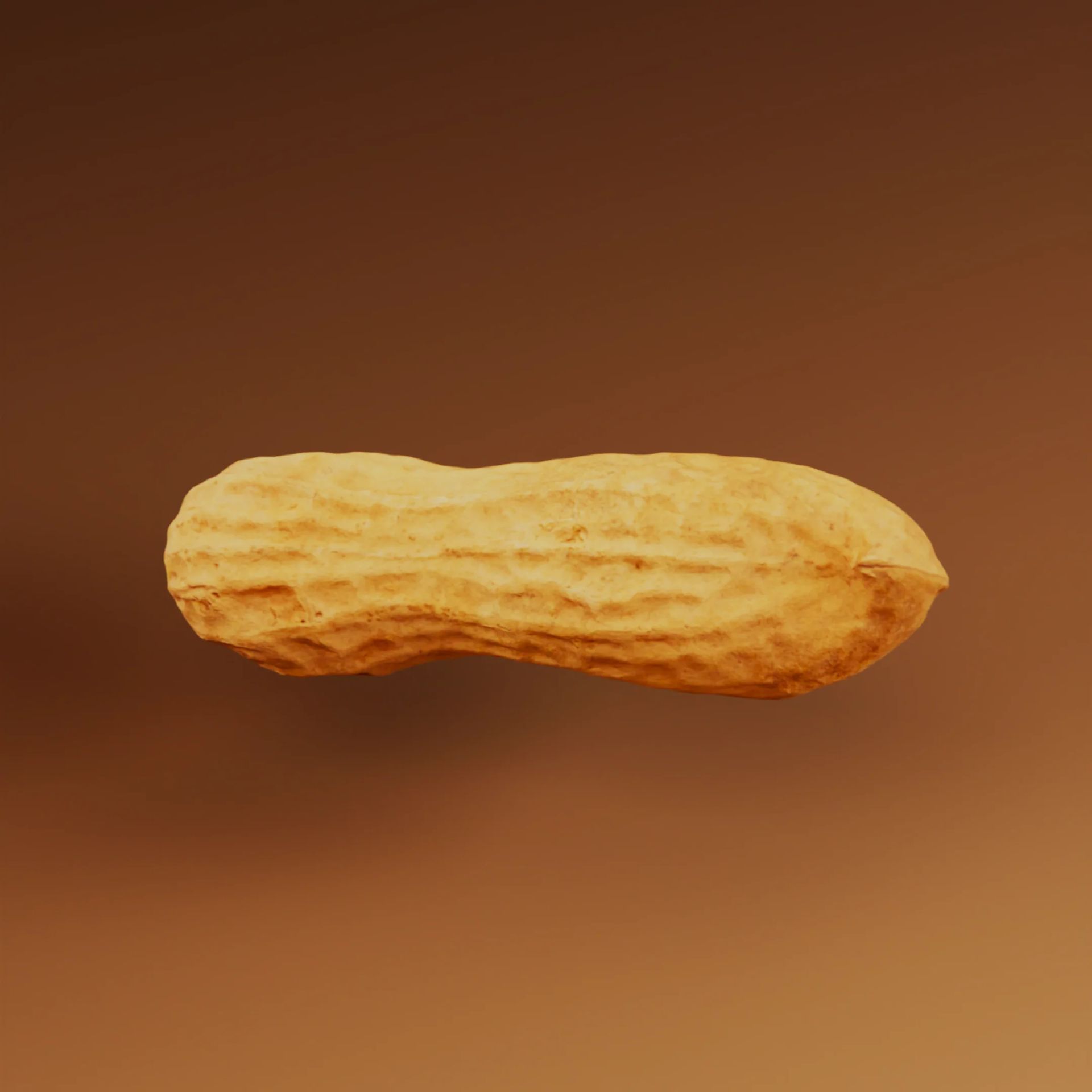 3D scanned peanut with shell on neutral background